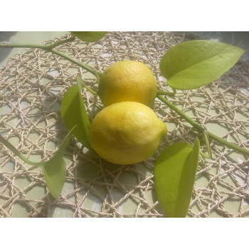 Citrony BIO 500 g